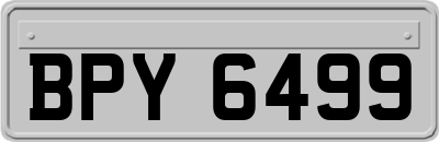 BPY6499