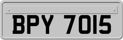 BPY7015