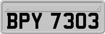 BPY7303