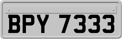 BPY7333