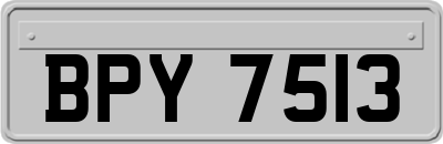 BPY7513
