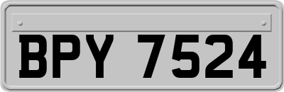 BPY7524