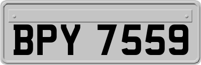 BPY7559