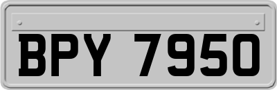 BPY7950