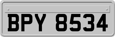 BPY8534