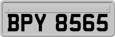 BPY8565