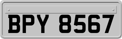 BPY8567
