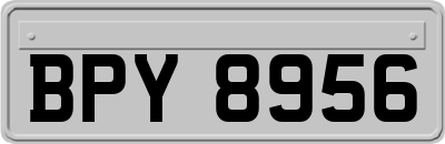 BPY8956