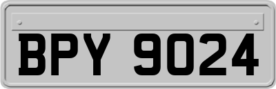 BPY9024
