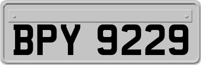 BPY9229