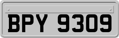 BPY9309