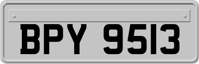 BPY9513