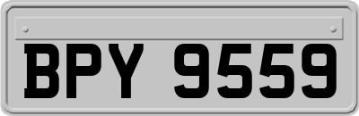 BPY9559