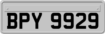 BPY9929