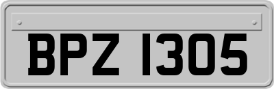BPZ1305