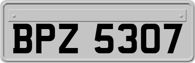 BPZ5307