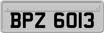 BPZ6013