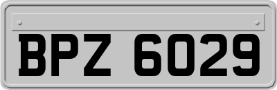 BPZ6029