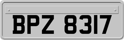 BPZ8317