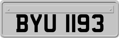 BYU1193