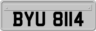 BYU8114