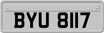 BYU8117
