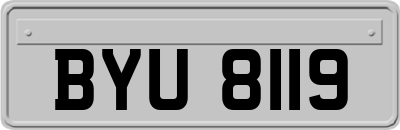 BYU8119