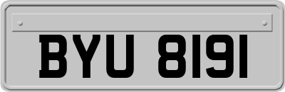 BYU8191