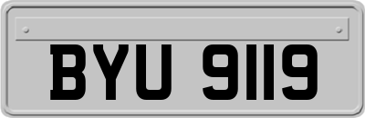 BYU9119