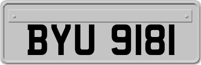 BYU9181