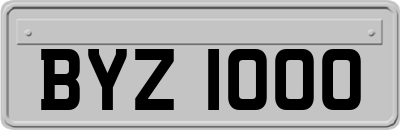 BYZ1000