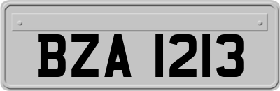 BZA1213