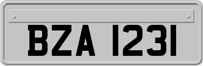 BZA1231