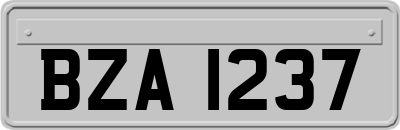 BZA1237