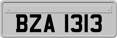 BZA1313