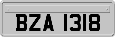 BZA1318