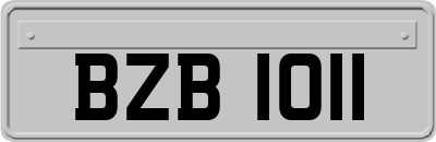 BZB1011