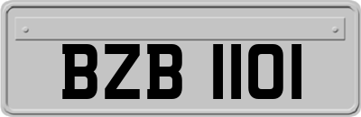 BZB1101