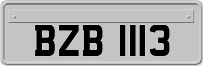 BZB1113