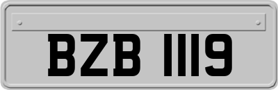 BZB1119