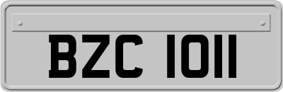 BZC1011