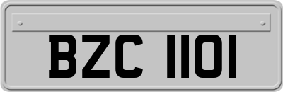 BZC1101