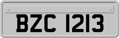 BZC1213