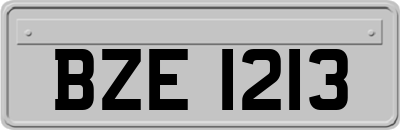 BZE1213