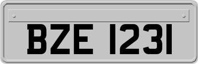 BZE1231