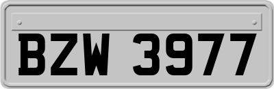 BZW3977