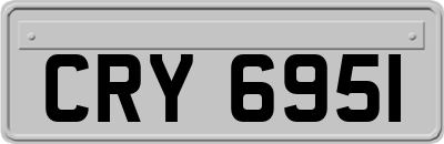 CRY6951