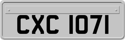 CXC1071