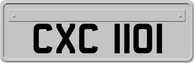 CXC1101