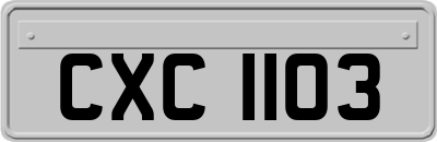 CXC1103